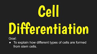 6.5- Cell Differentiation