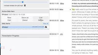 Transcriptive Rough Cutter (3.0) - Premiere Panel and Web App differences