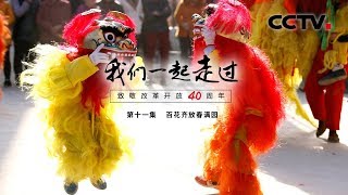 《我们一起走过——致敬改革开放40周年》第十一集 百花齐放春满园 | CCTV纪录