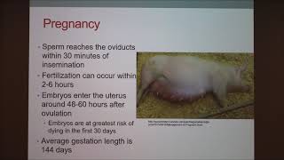 Improving Swine Reproduction I: An Introduction to the Basics