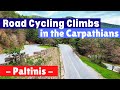 Road Cycling the Carpathian Mountains: The Paltinis Climb near Sibiu city. Cycling in Romania.