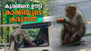 കുരങ്ങനെ ഊട്ടി പൊലീസിന്റെ കരുതല്‍; ആ അപൂര്‍വ വിഡിയോക്ക് പിന്നില്‍ | Police | Naadukani | Monkey