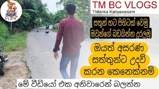 ඔයත් අසරණ සත්තුන්ට පිහිටක් වෙන කෙනෙක් නම් මේ විඩියො එක අනිවාරෙන් නරඹන්න