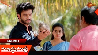 Moodu Mullu- Promo | 21 Feb 2025  | Gemini TV Serial