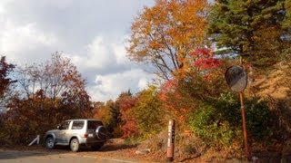 5x 【酷道ドライブ・紅葉】国道352号・樹海ライン　Extensive Forest Road in Japan