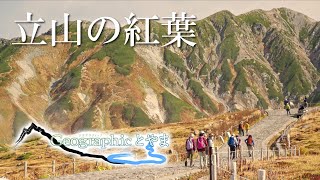 ジオグラフィックとやま 『立山の紅葉』【2021/10/8】