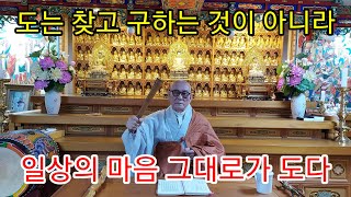 현문정사 016/ 도는 찾고 구하는 것이 아니라 일상의 마음 그대로가 道다