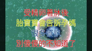 受精卵著床後，胎寶寶會告訴孕媽很多資訊，別傻傻的不知道了