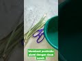 membuat pestisida alami dengan daun sereh #pemulabelajartv #youtuberpemula #pemulabelajar #buahsurga