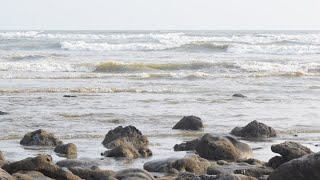 পাটুয়ারটেক সী বিচ,কক্সবাজার॥Patuartek sea Beach,Cox’s bazar||Bangladesh