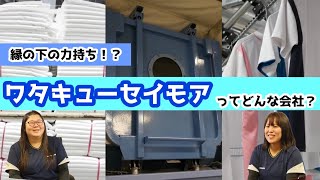 ワタキューセイモア（きゃりれぽ企業編第16回）