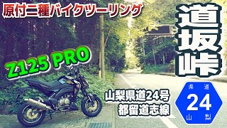 【道坂峠】山梨県道24号 都留道志線 ツーリング【Z125 PRO】