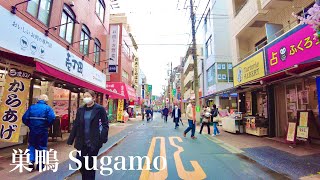 【東京散歩】巣鴨の街を歩く。Sugamo walk ASMR【4K】