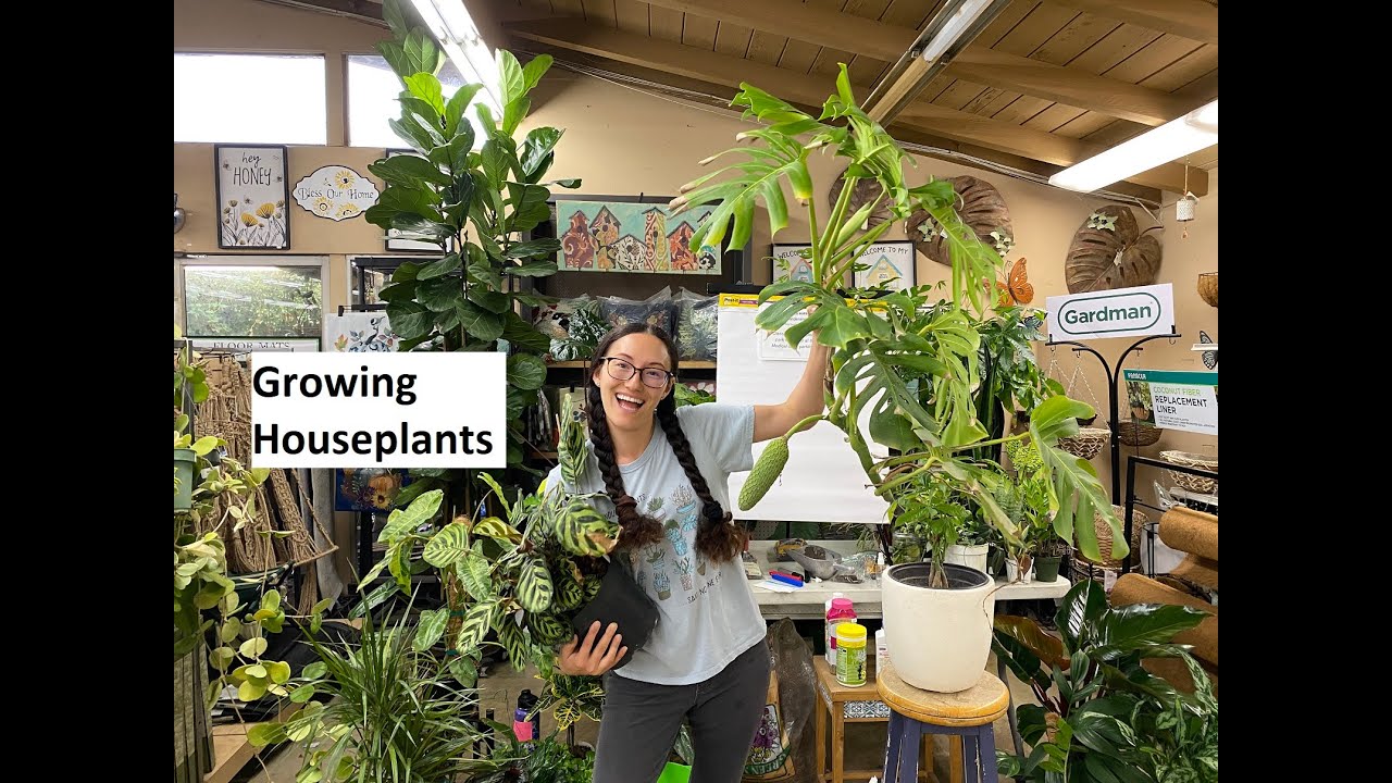 Growing Houseplants Youtube