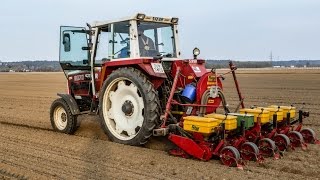 Zuckerrüben Anbau | 6 Reihig | Steyr 8070 | Rau Sämaschine