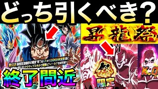 ガチャ終了直前『最終判断』どっちのガチャを引くべきか？七夕身勝手vs.祭ジレン【ドッカンバトル】【地球育ちのげるし】