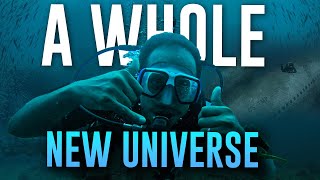 What Scuba-diving taught me about Anxiety and Panic