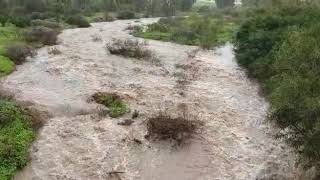 שפך נחל דליות - 14/01/2019