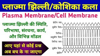 Structure and function of plasma membrane. Plasma membrane structure and function. cell cell membrane