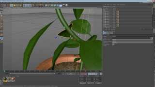 Potted Vine Modeling, Texturing & Rendering (sped up 2x)