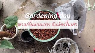 Gardening day พาเปลี่ยนกระถาง จับน้อง pink princess ขึ้นเสา💗