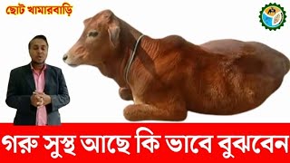 আপনার গরু টি সুস্থ আছে তো , কি ভাবে  বুঝবেন।