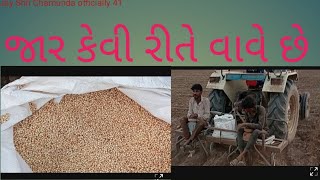 જાર કેવી રીતે વાવે છે