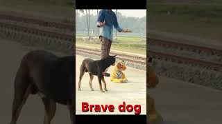 BRAVE DOG REACTION TO FAKE TIGER PRANK! | SAGOR BHUYAN