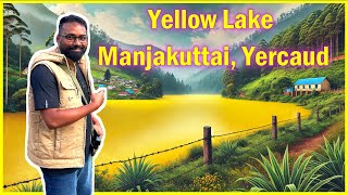 Yellow Lake at Manjakuttai, Yercaud: Nature's Unique Year-Round Yellow Wonder 🌟🌳