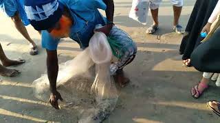 সাগর থেকে জেলেরা যেভাবে মাছ মারেন || Best Fishing Method in Sea || সাগরে মাছ ধরার কৌশল