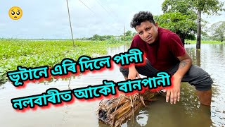 বানপানী আহিল...এইবাৰ ক'ত যাম || African Bhaluk || New Assamese Funny Vlog 2023