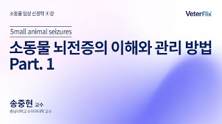 [베터플릭스][소동물 임상 신경학] 소동물 뇌전증의 이해와 관리 방법 Part 1(Small animal seizures)