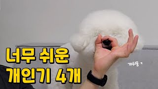 다른건 몰라도 이건 꼭 배워야 해요❗️ 강아지 필수 개인기 4가지 🐶