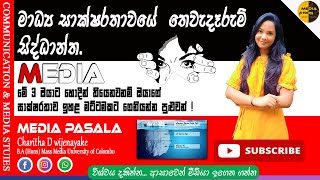 මාධ්‍ය සාක්ෂරතාවේ තෙවැදෑරුම් සිද්ධාන්ත