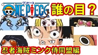 【ONE PIECE】 Anime quiz　Whose eyes? ワンピース Ninja Pirate Mink Samurai Alliance Edition Japanese manga