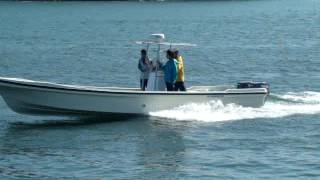 Bestyear Panga 30 Fishing Boat | Custom Built | Worldwide Shipping