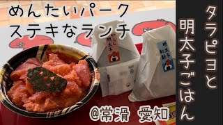 ★2022AUGタラピヨと明太子ごはん めんたいパーク ステキなランチ