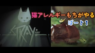 【Stray】猫アレルギーでも猫が好き【part1】