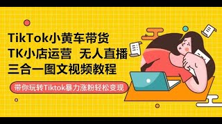 TikTok跨境电商，TikTok无人直播，跨境小店运营，本土小店，小黄车短视频带货，海外版抖音变现涨粉教程，网赚美金，海外掘金，tiktok培训课程