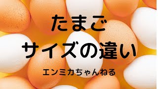 たまごのLLサイズとMサイズの違いを比較してみた！