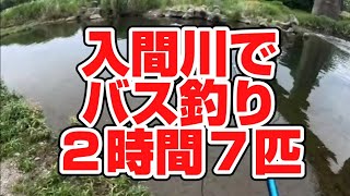 入間川でスモールマウスバスを釣る！