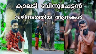 കാലടി ബിനുചേട്ടൻ വഴിനടത്തിയ ആനകൾ | Kaladi Binu Vazhinadathiya Aanakal