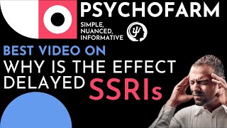 SSRIs in the Brain: Understand Anti-Depressants and Why Anti-Depressants Take So Long to Work