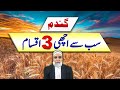 Best 3 Wheat Varieties || Crop Reformer