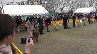 ＦＣＩ北関東インター　3Ｇ牡　2012.3.18