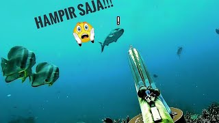 Part 47 🔥 | Trip ke 2 pulau morotai | banyak ikan target 📽❤ 🎯 #spearfishing #spearfishingindonesia