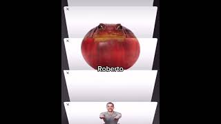 Roberto the frog #shorts #shitpost #memes #shitposting