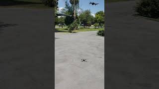 Dron F-196 Axnen Review