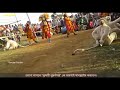 ওস্তাদ রাসবিহারি কুমারের বাঁদর নাচ purulia chhau monkey dance rasbihari kumar