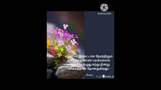 @tamikavithai7953💖 ஒளிர் தீபம் 🪔